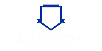 brc-logo-light